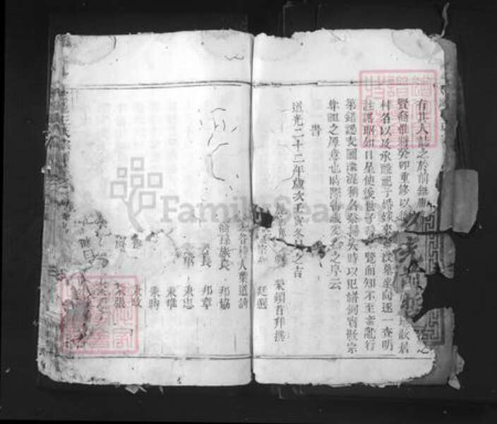 浙江省丽水市青田县仁庄镇王氏族谱-太原王氏宗谱.pdf电子版预览图4