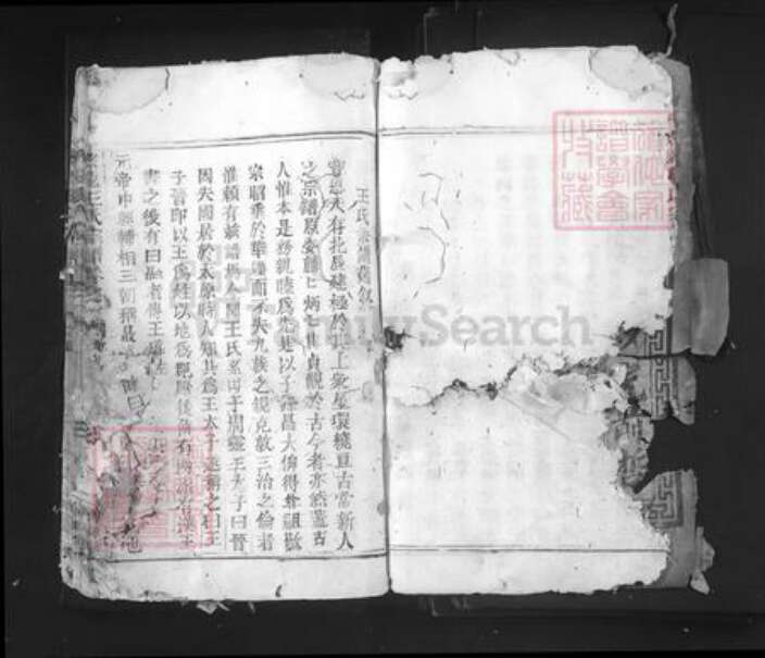 浙江省丽水市青田县仁庄镇王氏族谱-太原王氏宗谱.pdf电子版预览图5
