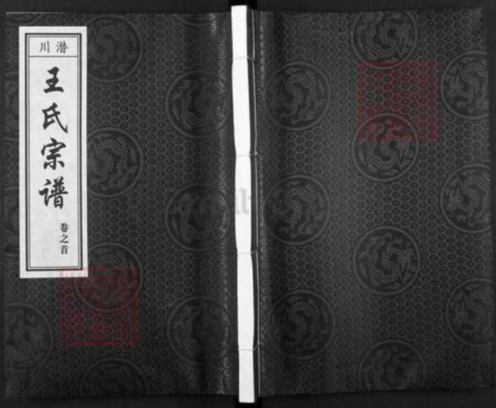 安徽省合肥市包河区王氏积德堂族谱-王氏族宗谱.pdf电子版缩略图