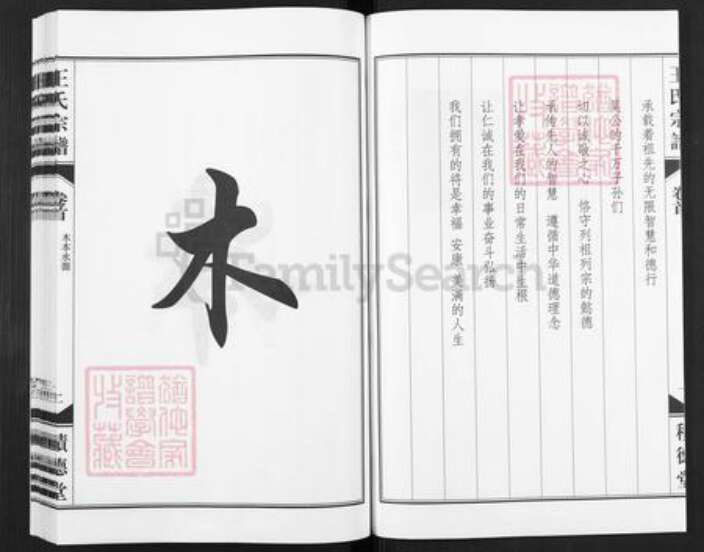 安徽省合肥市包河区王氏积德堂族谱-王氏族宗谱.pdf电子版预览图2