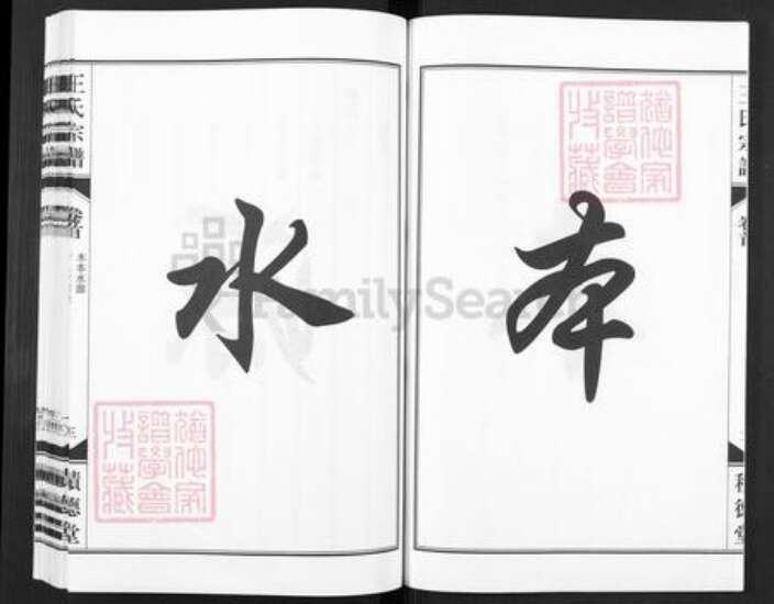 安徽省合肥市包河区王氏积德堂族谱-王氏族宗谱.pdf电子版预览图3