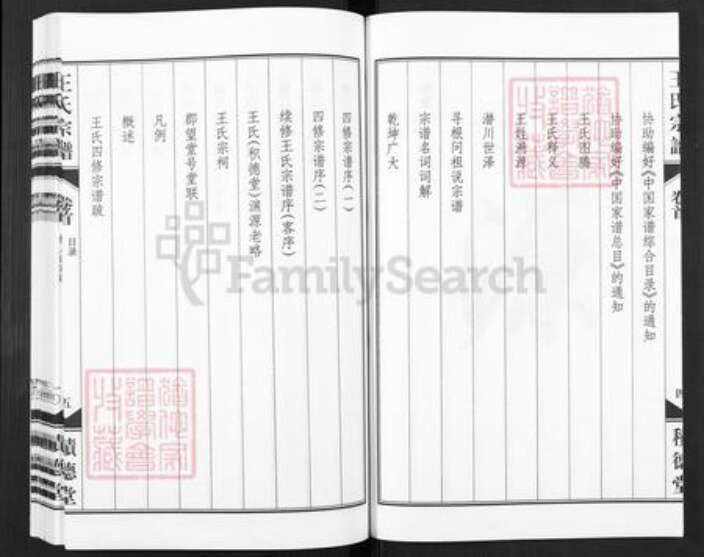 安徽省合肥市包河区王氏积德堂族谱-王氏族宗谱.pdf电子版预览图5