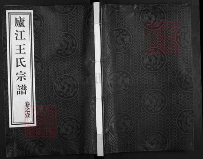 安徽省合肥市庐江县王氏族谱-庐江王氏宗谱.pdf电子版缩略图