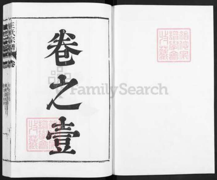 安徽省合肥市庐江县王氏族谱-庐江王氏宗谱.pdf电子版预览图1
