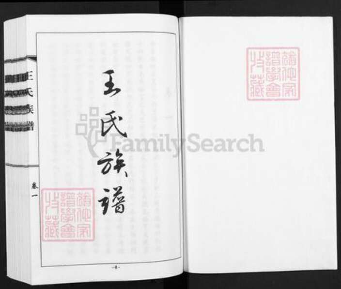 河北省沧州黄骅市黄骅镇王氏族谱-王氏族谱.pdf电子版预览图1