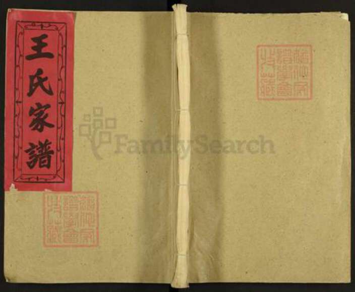 山西省太原市王氏族谱-太原王氏十二修族谱.pdf电子版缩略图