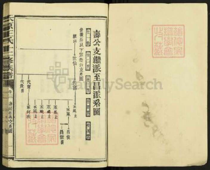 山西省太原市王氏族谱-太原王氏十二修族谱.pdf电子版预览图1