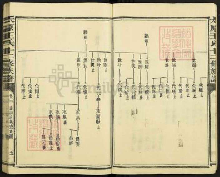 山西省太原市王氏族谱-太原王氏十二修族谱.pdf电子版预览图5