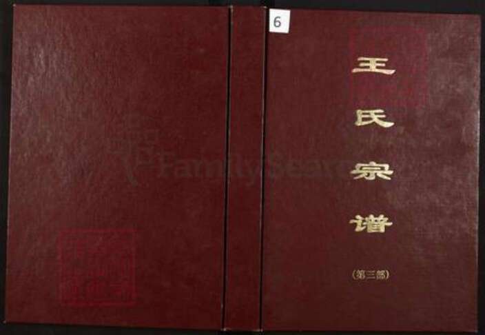 重庆市璧山区河边镇王氏族谱-王氏宗谱.pdf电子版缩略图
