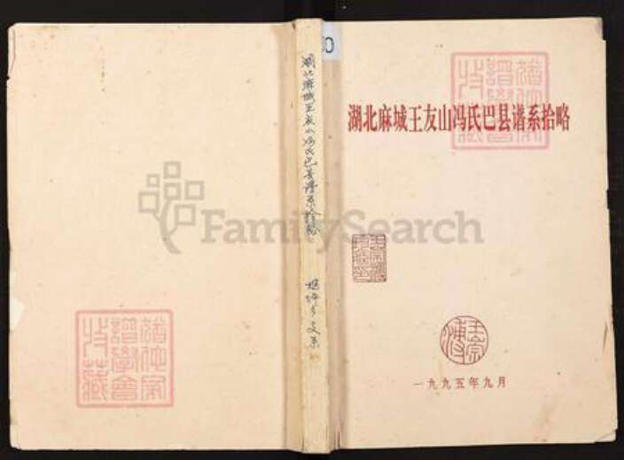 重庆市巴南区王氏族谱-湖北麻城王友山冯氏巴县谱系拾略.pdf电子版缩略图