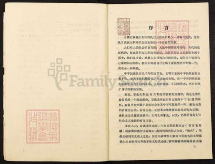 重庆市巴南区王氏族谱-湖北麻城王友山冯氏巴县谱系拾略.pdf电子版预览图4