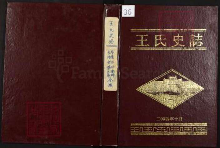 四川省绵阳市涪城区王氏族谱-王氏史志.pdf电子版缩略图