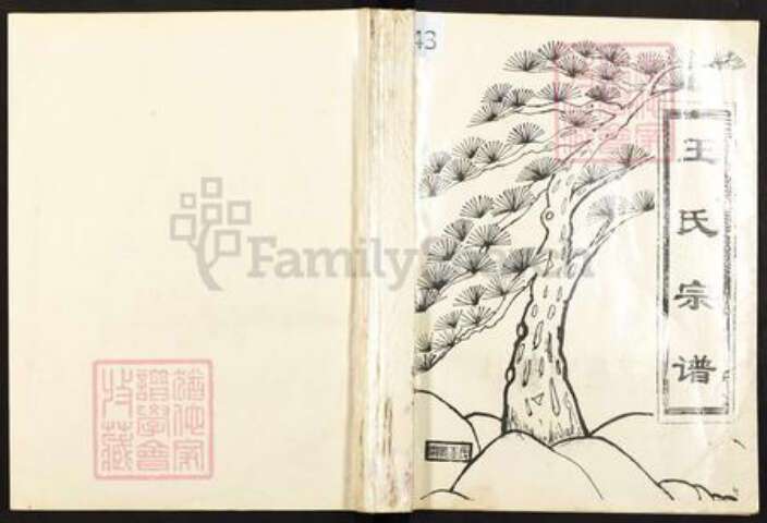 重庆市万州王氏三槐堂族谱-王氏宗谱.pdf电子版缩略图