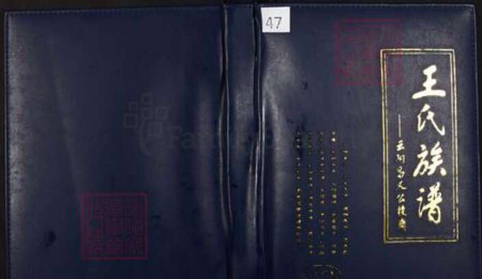 重庆市云阳县南溪镇王氏族谱-王氏族谱.pdf电子版缩略图