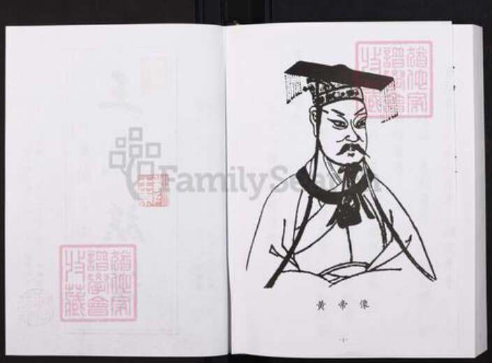 重庆市云阳县南溪镇王氏族谱-王氏族谱.pdf电子版预览图2