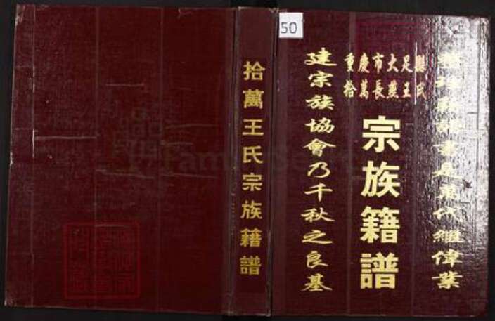重庆市大足区王氏族谱-重庆大足县拾万长燕王氏宗族籍谱.pdf电子版缩略图