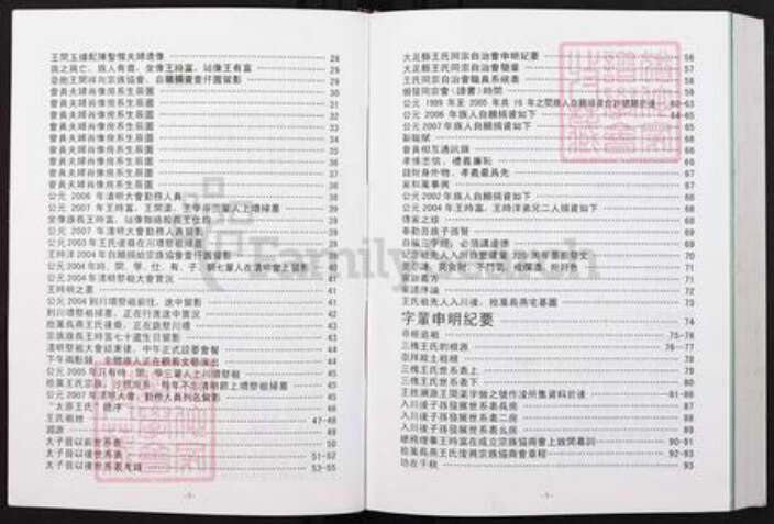 重庆市大足区王氏族谱-重庆大足县拾万长燕王氏宗族籍谱.pdf电子版预览图3