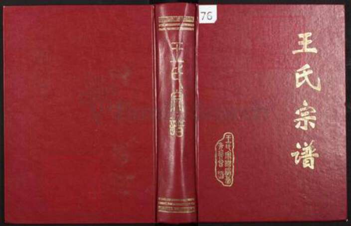 四川省广元市苍溪县禅林乡王氏族谱-川北十县区王氏宗谱.pdf电子版缩略图