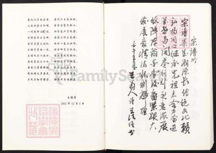 四川省广元市苍溪县禅林乡王氏族谱-川北十县区王氏宗谱.pdf电子版预览图3