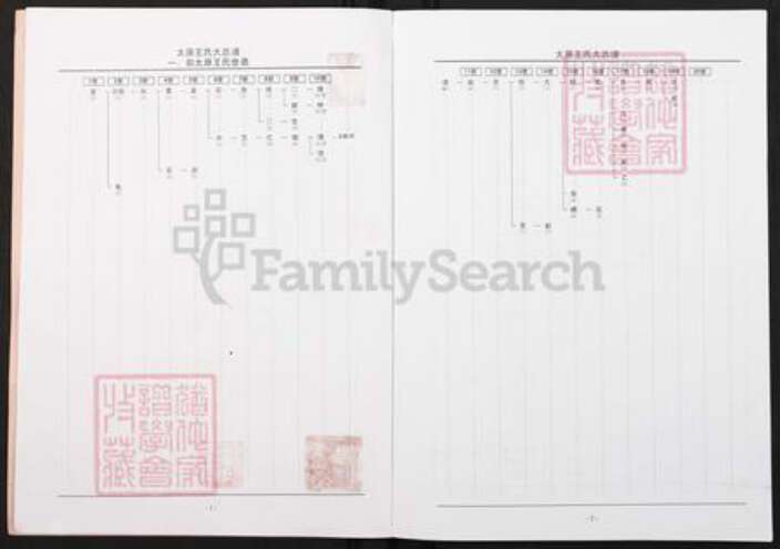 山西省太原市王氏族谱-太原王氏大总谱.pdf电子版预览图2