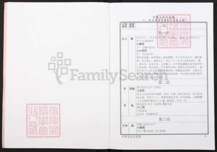 山西省太原市王氏族谱-太原王氏大总谱.pdf电子版预览图3