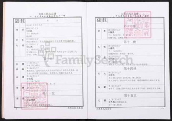 山西省太原市王氏族谱-太原王氏大总谱.pdf电子版预览图5
