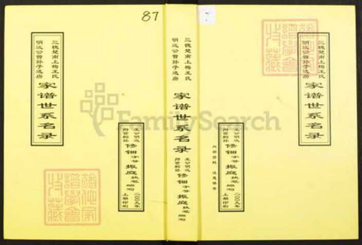 湖南省娄底市新化县王氏族谱-三槐楚南上梅王氏.明远公曾孙子选房.家谱世系名录.pdf电子版缩略图