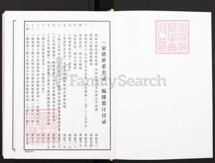 湖南省娄底市新化县王氏族谱-三槐楚南上梅王氏.明远公曾孙子选房.家谱世系名录.pdf电子版预览图3