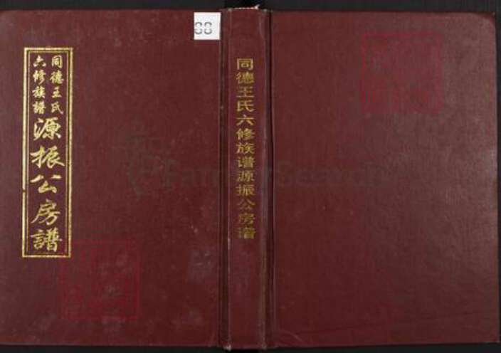 湖南省湘潭市湘乡市潭市镇王氏敦伦堂族谱-同德王氏六修族谱源振公房谱.pdf电子版缩略图