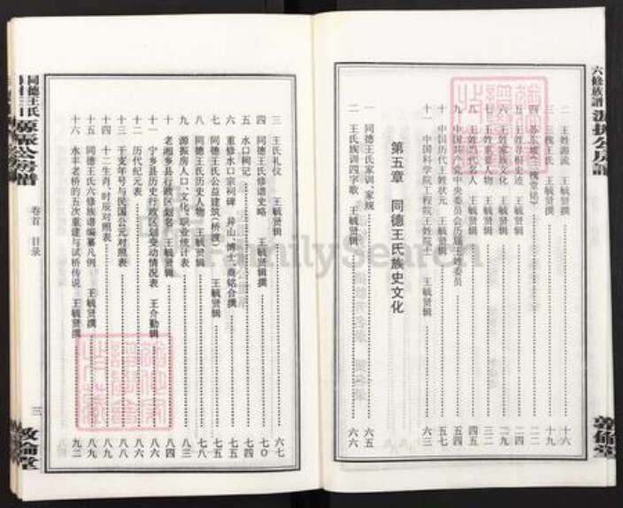 湖南省湘潭市湘乡市潭市镇王氏敦伦堂族谱-同德王氏六修族谱源振公房谱.pdf电子版预览图5