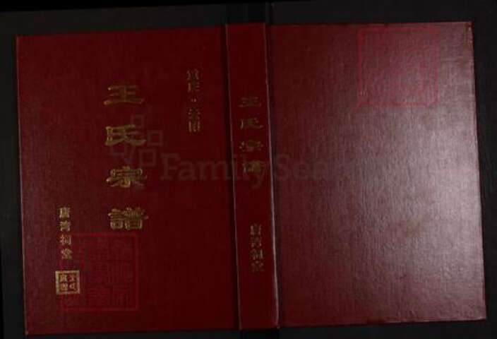 重庆市武隆区江口镇王氏族谱-王氏宗谱.pdf电子版缩略图