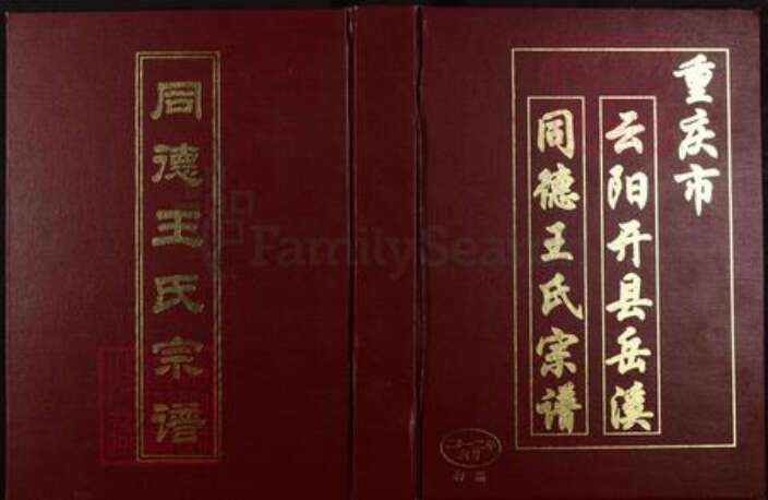 重庆市武隆区江口镇王氏族谱-重庆市云阳开县岳溪同德王氏宗谱.pdf电子版缩略图