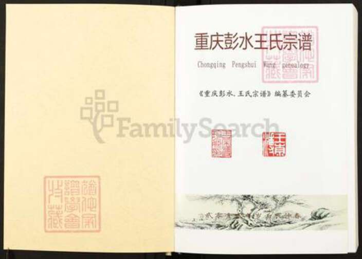 重庆市彭水苗族土家族自治县保家镇王氏三槐堂族谱-重庆彭水王氏宗谱.pdf电子版预览图1