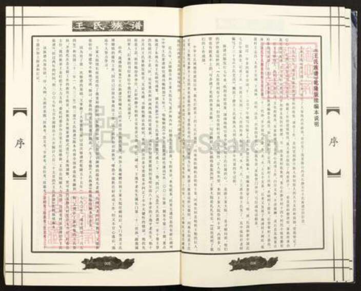 山西省晋中市灵石县静升镇王氏族谱-王氏族谱.pdf电子版预览图5