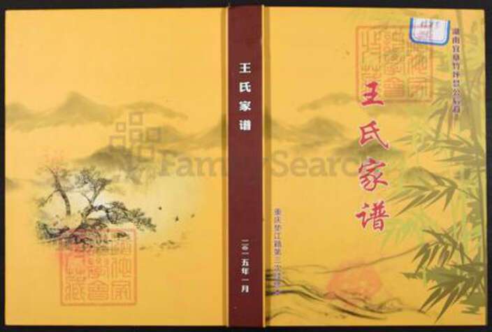 重庆市垫江县周嘉镇王氏族谱-王氏家谱.pdf电子版缩略图