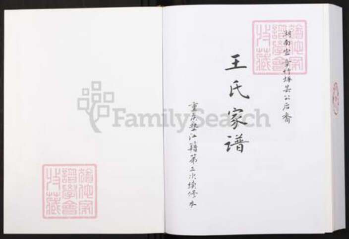 重庆市垫江县周嘉镇王氏族谱-王氏家谱.pdf电子版预览图1