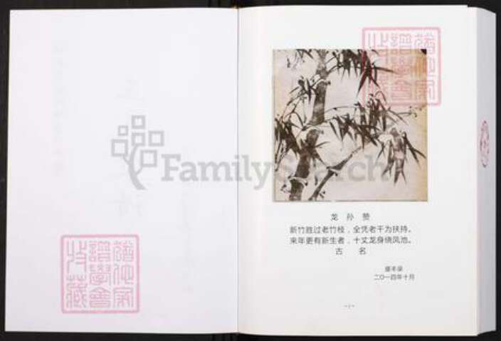 重庆市垫江县周嘉镇王氏族谱-王氏家谱.pdf电子版预览图2
