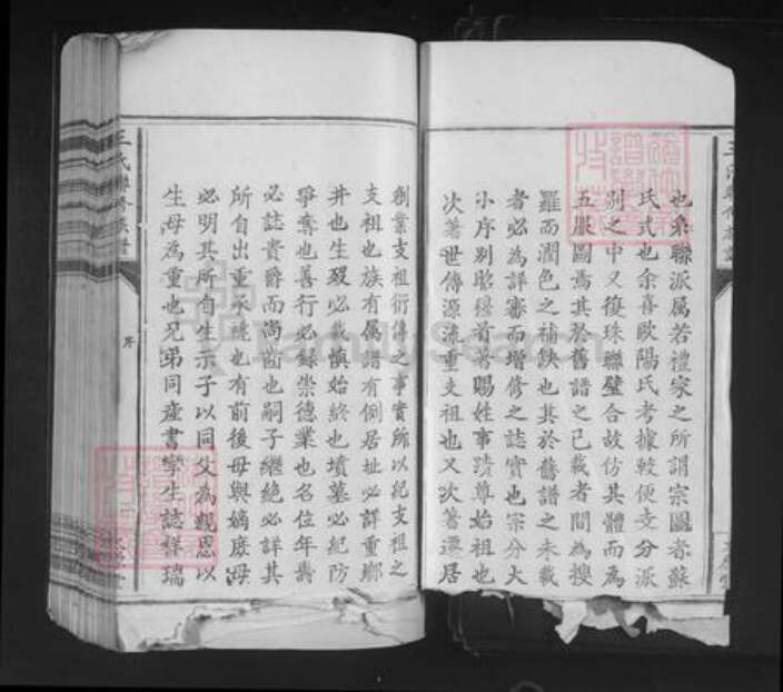 江西省王氏太原堂族谱-王氏联修族谱.pdf电子版预览图3