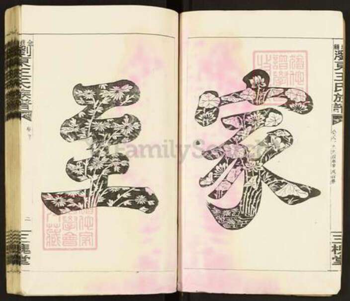 江西省吉安市永丰县王氏三槐堂族谱-金塘湾浏东王氏族谱.pdf电子版预览图3