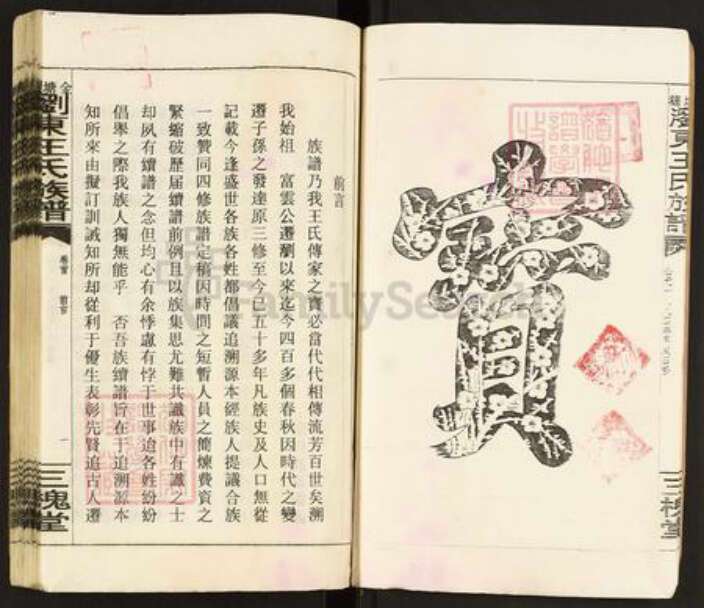 江西省吉安市永丰县王氏三槐堂族谱-金塘湾浏东王氏族谱.pdf电子版预览图4