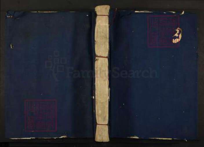 江西省赣州市信丰县王氏继善堂族谱-信邑南乡铁石堡王氏四修族谱.pdf电子版缩略图