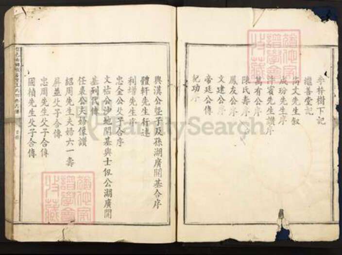 江西省赣州市信丰县王氏继善堂族谱-信邑南乡铁石堡王氏四修族谱.pdf电子版预览图3