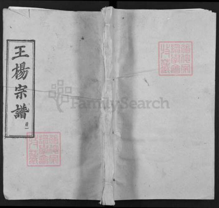 湖北省黄冈市团风县团风镇王氏三槐堂族谱-王杨宗谱.pdf电子版缩略图