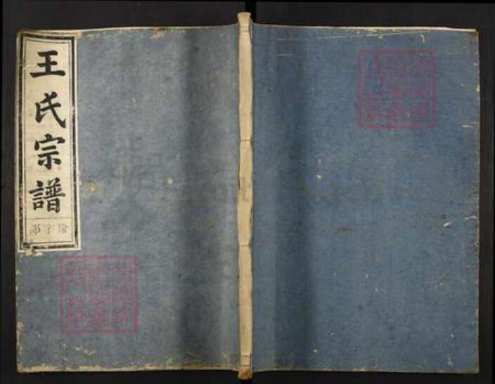 湖南省常德市桃源县王氏存心堂族谱-梓林王氏宗谱.pdf电子版缩略图