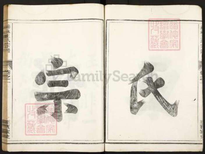湖南省常德市桃源县王氏存心堂族谱-梓林王氏宗谱.pdf电子版预览图4