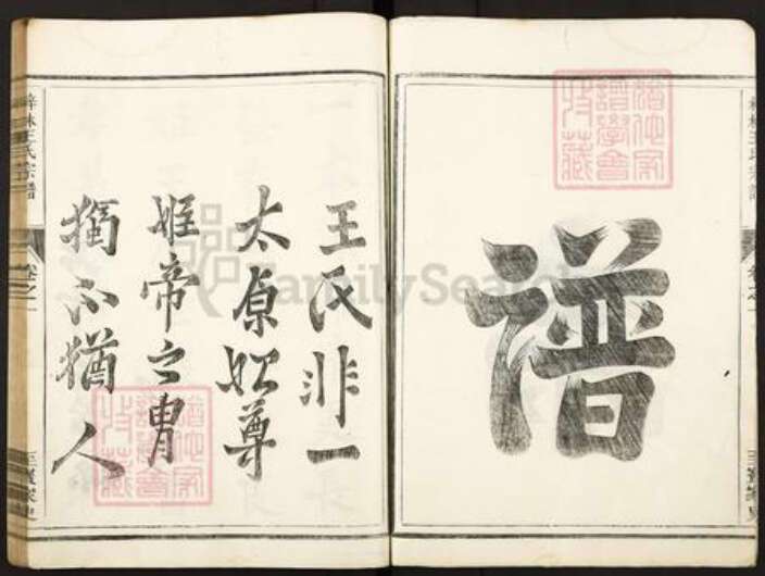 湖南省常德市桃源县王氏存心堂族谱-梓林王氏宗谱.pdf电子版预览图5