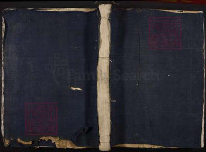 江西省吉安市泰和市王氏族谱-梅岗王氏宗谱.pdf电子版缩略图