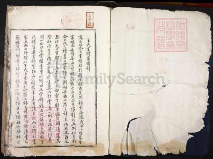 江西省吉安市泰和市王氏族谱-梅岗王氏宗谱.pdf电子版预览图1