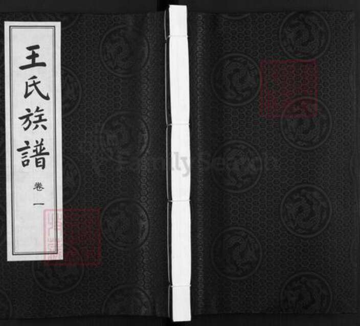 江苏省扬州市江都区大桥镇王氏三槐堂族谱-王氏族谱.pdf电子版缩略图