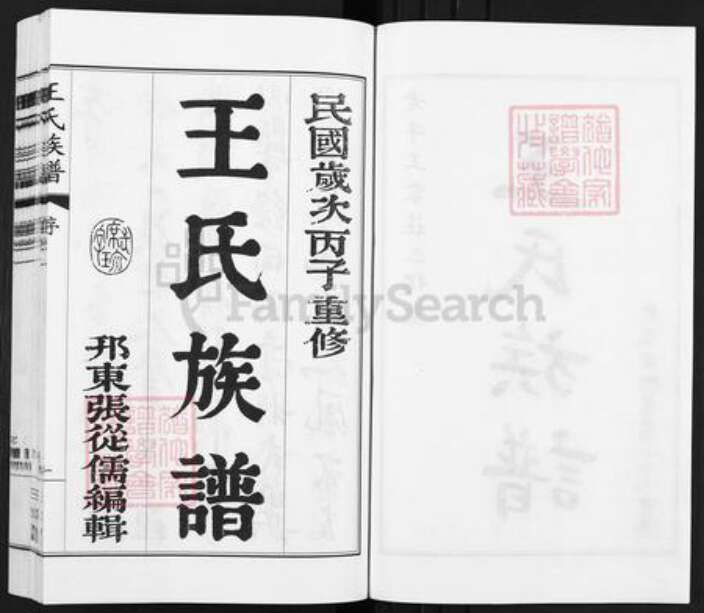 江苏省扬州市江都区大桥镇王氏三槐堂族谱-王氏族谱.pdf电子版预览图2